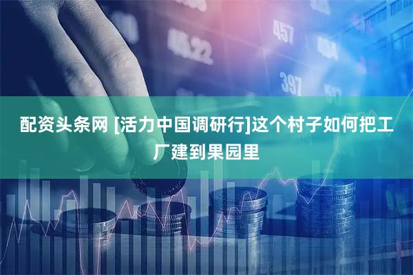 配资头条网 [活力中国调研行]这个村子如何把工厂建到果园里